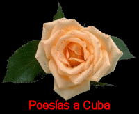 Poesas a Cuba