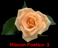 R Potico 3