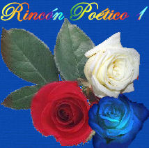 Rincn Potico 1