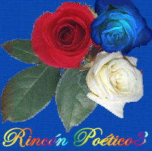 Rincn Potico 3